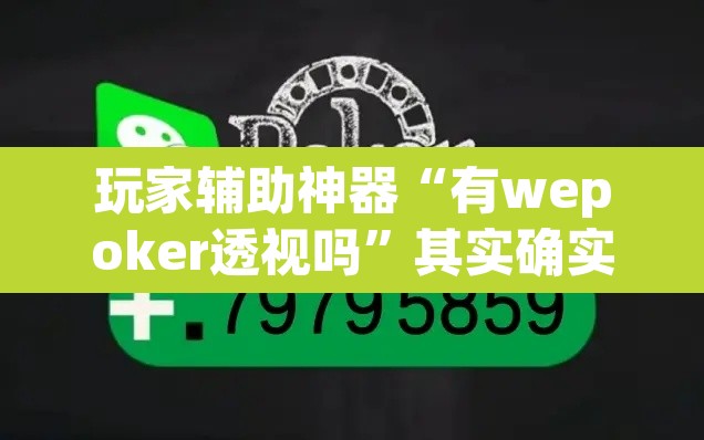 玩家辅助神器“有wepoker透视吗”其实确实有挂