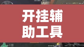 开挂辅助工具“方片十三张真的有挂吗”其实确实有挂