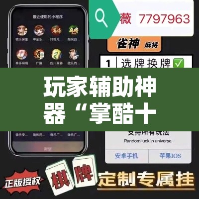 玩家辅助神器“掌酷十三张辅助	”开挂辅助脚本+详细开挂安装教程