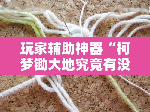 玩家辅助神器“柯梦锄大地究竟有没有挂	”其实确实有挂