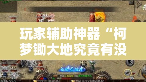 玩家辅助神器“柯梦锄大地究竟有没有挂”其实确实有挂