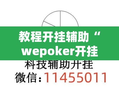 教程开挂辅助“wepoker开挂透视辅助”其实确实有挂