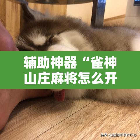 辅助神器“雀神山庄麻将怎么开挂”其实确实有挂