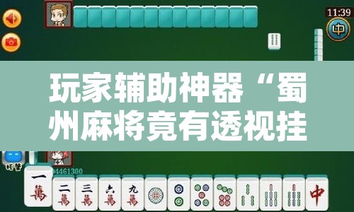 玩家辅助神器“蜀州麻将竟有透视挂吗”附辅助神器开挂脚本详细步骤