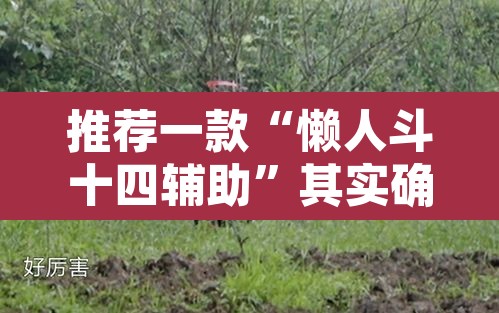 推荐一款“懒人斗十四辅助”其实确实有挂
