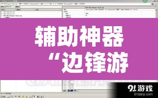 辅助神器“边锋游戏辅助器”开挂辅助脚本+详细开挂安装教程