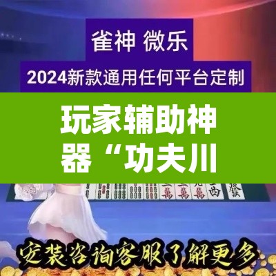 玩家辅助神器“功夫川麻辅助器安装包”(透视挂)辅助透视教程