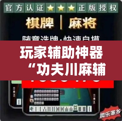 玩家辅助神器“功夫川麻辅助器安装包”(透视挂)辅助透视教程