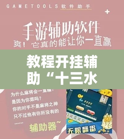教程开挂辅助“十三水玩法规则和技巧	”开挂辅助脚本+详细开挂安装教程