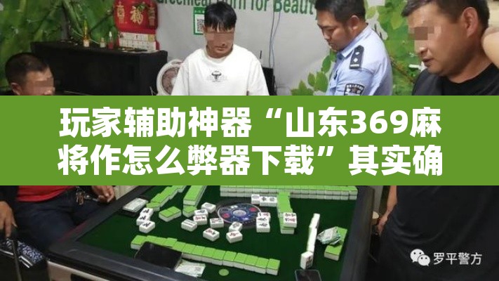 玩家辅助神器“山东369麻将作怎么弊器下载	”其实确实有挂