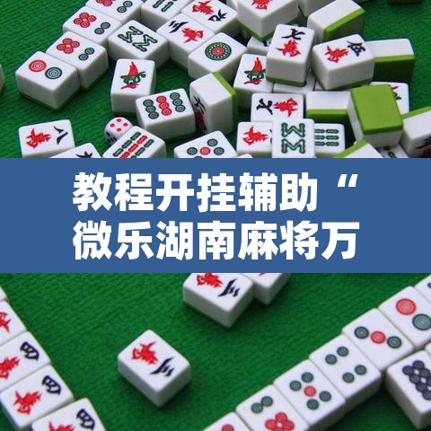 教程开挂辅助“微乐湖南麻将万能开挂器通用版”开挂辅助脚本+详细开挂安装教程