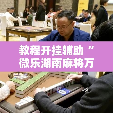 教程开挂辅助“微乐湖南麻将万能开挂器通用版	”开挂辅助脚本+详细开挂安装教程