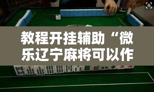 教程开挂辅助“微乐辽宁麻将可以作弊吗”其实确实有挂