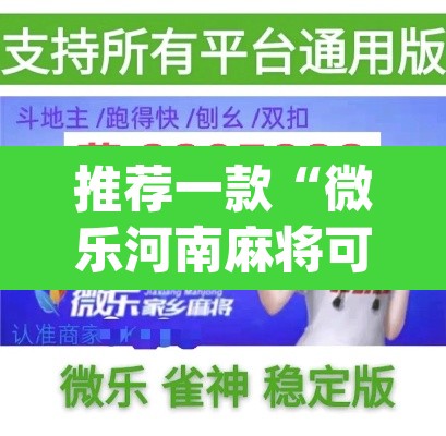 推荐一款“微乐河南麻将可以开挂吗”(透视挂)辅助透视教程