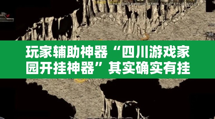 玩家辅助神器“四川游戏家园开挂神器”其实确实有挂