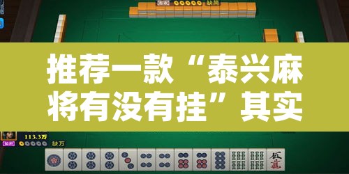 推荐一款“泰兴麻将有没有挂”其实确实有挂