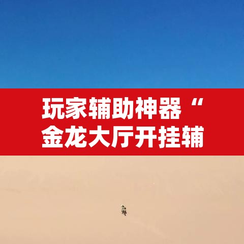 玩家辅助神器“金龙大厅开挂辅助软件”(透视挂)辅助透视教程