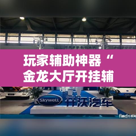 玩家辅助神器“金龙大厅开挂辅助软件”(透视挂)辅助透视教程
