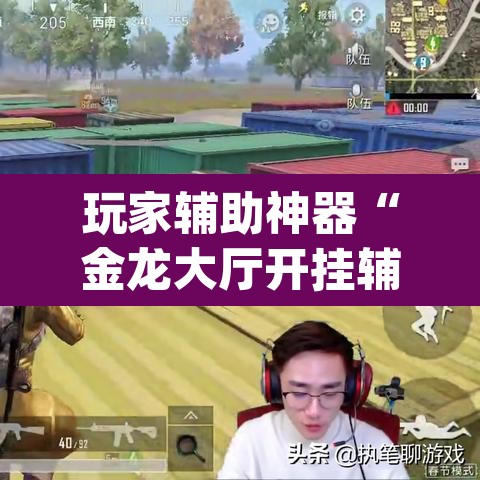 玩家辅助神器“金龙大厅开挂辅助软件”(透视挂)辅助透视教程