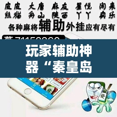 玩家辅助神器“秦皇岛麻将真的可以开挂吗”(透视挂)辅助透视教程