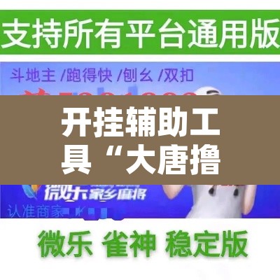 开挂辅助工具“大唐撸麻雀怎么开挂”其实确实有挂