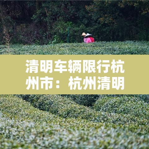 清明车辆限行杭州市:杭州清明限行时间 清明车辆限行杭州市:杭州清明限行时间