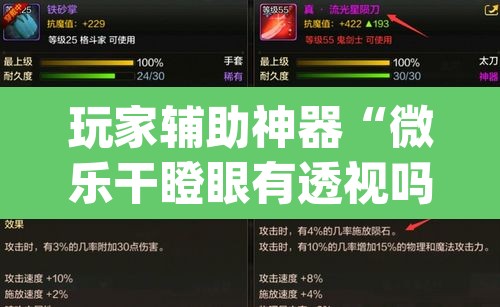 玩家辅助神器“微乐干瞪眼有透视吗”(透视)其实确实有挂