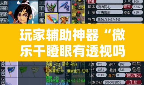玩家辅助神器“微乐干瞪眼有透视吗	”(透视)其实确实有挂