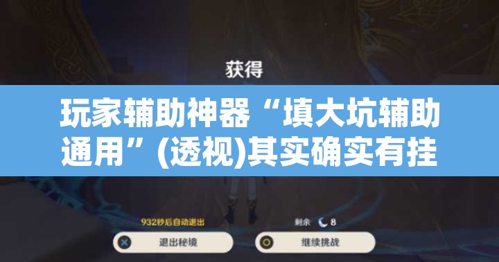 玩家辅助神器“填大坑辅助通用	”(透视)其实确实有挂