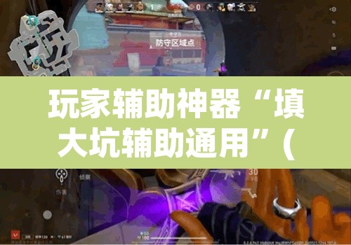 玩家辅助神器“填大坑辅助通用”(透视)其实确实有挂