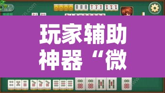 玩家辅助神器“微乐海南麻将小程序必赢神器”其实确实有挂