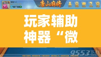 玩家辅助神器“微乐安徽麻将怎么提高胜率”开挂辅助脚本+详细开挂安装教程