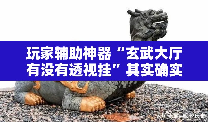 玩家辅助神器“玄武大厅有没有透视挂”其实确实有挂