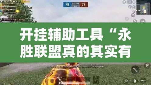 开挂辅助工具“永胜联盟真的其实有挂”(透视)其实确实有挂