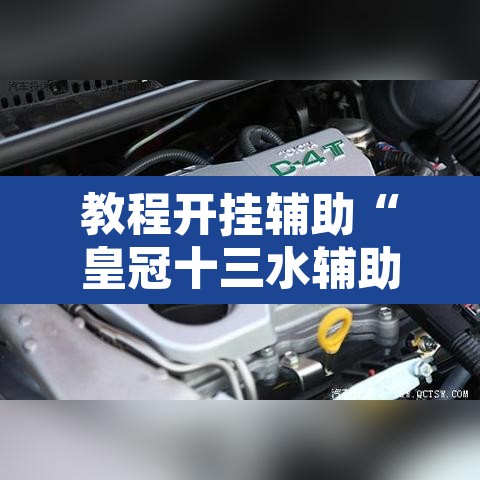 教程开挂辅助“皇冠十三水辅助器链接	”其实确实有挂