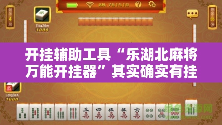 开挂辅助工具“乐湖北麻将万能开挂器”其实确实有挂