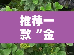 推荐一款“金华佛手到底有没有挂”其实确实有挂