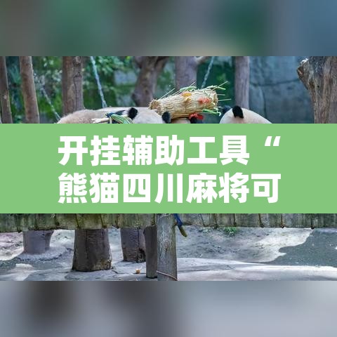 开挂辅助工具“熊猫四川麻将可以开挂吗	”其实确实有挂