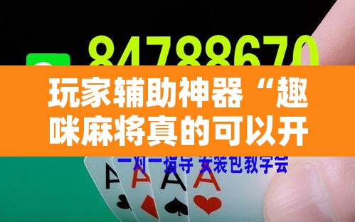 玩家辅助神器“趣咪麻将真的可以开挂吗”其实确实有挂