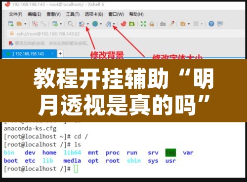 教程开挂辅助“明月透视是真的吗	”开挂辅助脚本+详细开挂安装教程
