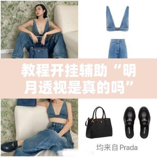 教程开挂辅助“明月透视是真的吗”开挂辅助脚本+详细开挂安装教程