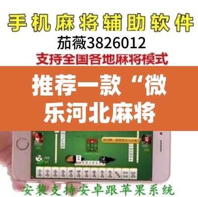 推荐一款“微乐河北麻将开挂教程”(透视挂)辅助透视教程