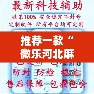 推荐一款“微乐河北麻将开挂教程	”(透视挂)辅助透视教程