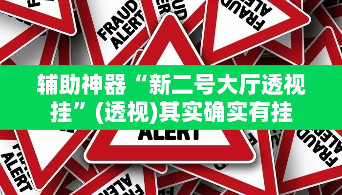 辅助神器“新二号大厅透视挂”(透视)其实确实有挂