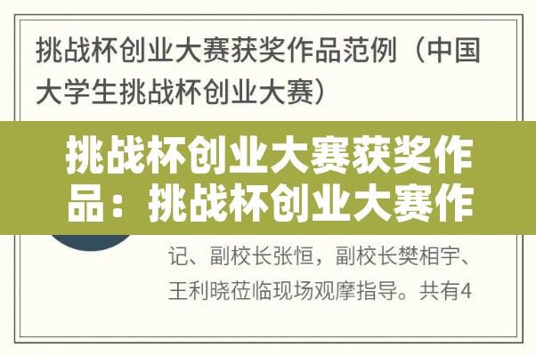 挑战杯创业大赛获奖作品:挑战杯创业大赛作品集 挑战杯创业大赛获奖作品:挑战杯创业大赛作品集