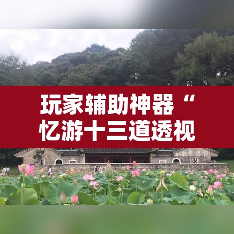 玩家辅助神器“忆游十三道透视开挂神器”其实确实有挂