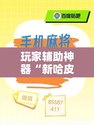 玩家辅助神器“新哈皮手游有挂吗的确有挂”附辅助神器开挂脚本详细步骤