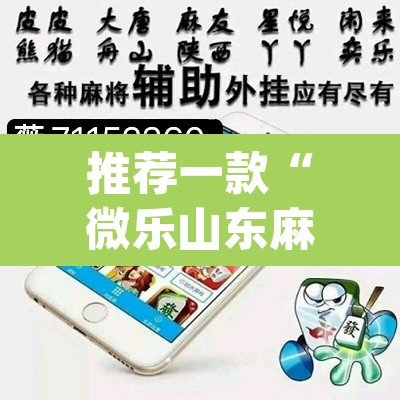 推荐一款“微乐山东麻将万能开挂器通用版”(透视挂)辅助透视教程