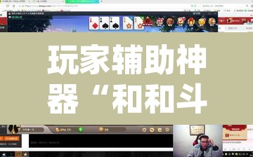 玩家辅助神器“和和斗地主透视底牌	”(透视)其实确实有挂