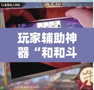 玩家辅助神器“和和斗地主透视底牌”(透视)其实确实有挂